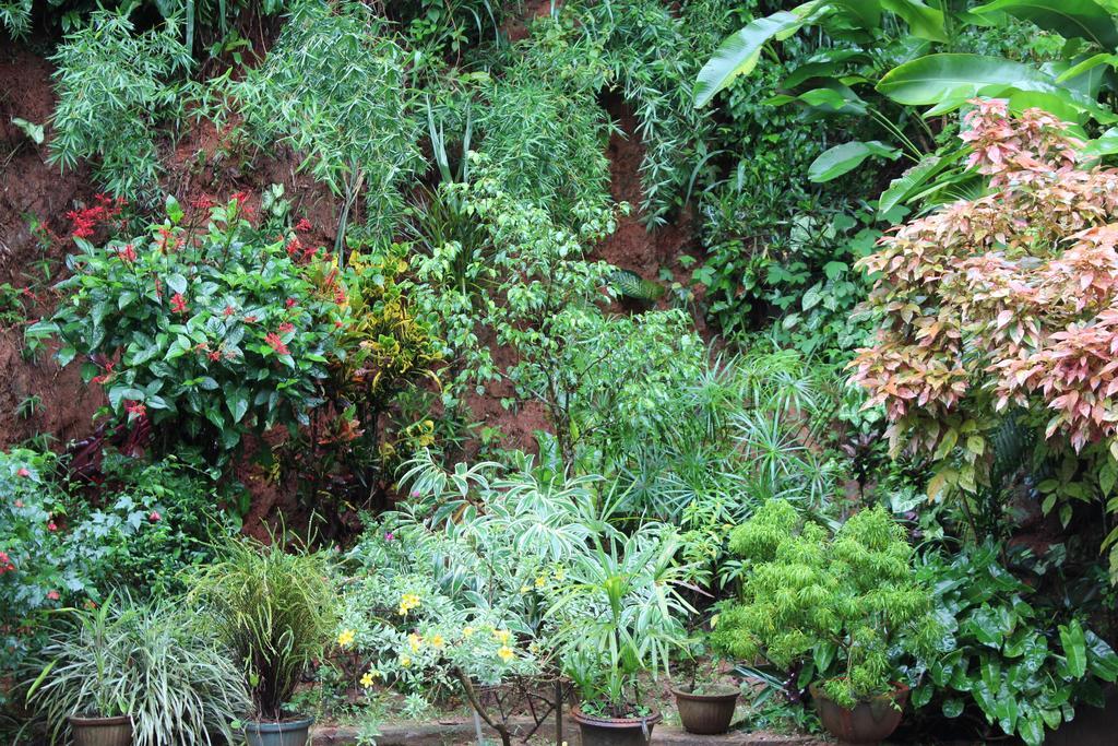 Appartement Anniewatte House à Kandy Extérieur photo